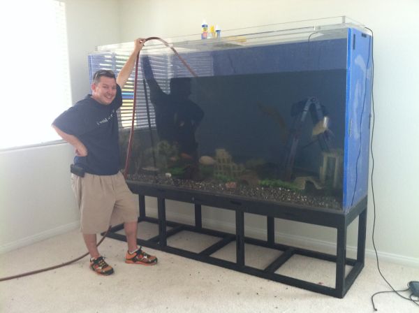 Complete Fish Tank Setup – $6000 (DI&Durango)